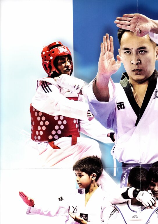 Venez découvrir un art martial complet, accessible à tous...  Cours de taekwondo traditionnel , combat olympique, sport santé, Taekwonkido Taebokido  débuterons le samedi 12 septembre 2023...