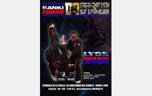 Dernier Stage d' Hapkido 8 juin 2019 à  Lyon