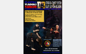 Stage d'hapkido le dimanche 23 février 2020