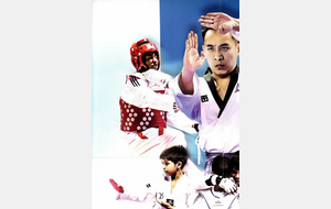 Venez découvrir un art martial complet, accessible à tous...  Cours de taekwondo traditionnel , combat olympique, sport santé, Taekwonkido Taebokido  débuterons le samedi 12 septembre 2023...