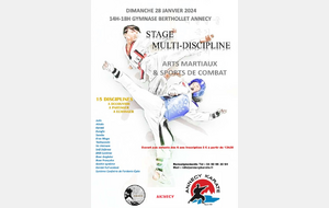 STAGE MULTIDISCIPLINE ANNECIENS LE DIMANCHE 28 JANVIER 2023