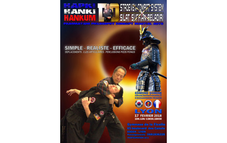 Stage HAPKIDO le 17 février 2018