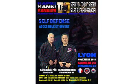Stage Hapkido  ( Self Défense coréen ) le 23 et 24 novembre 2018 - Ouvert  à tous