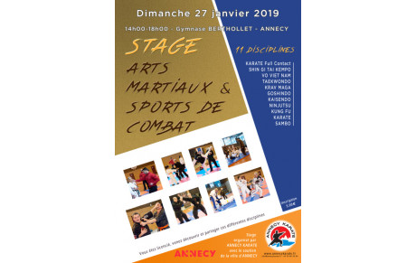 Stage Multi-Disciplines à ANNECY