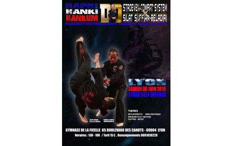 Dernier Stage d' Hapkido 8 juin 2019 à  Lyon