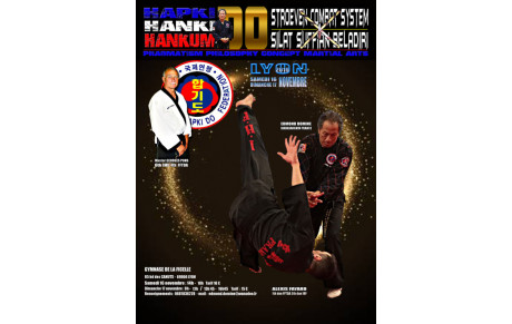 Stage exceptionnel d'Hapkido le weekend du 16 au17 nov 2019 à Lyon